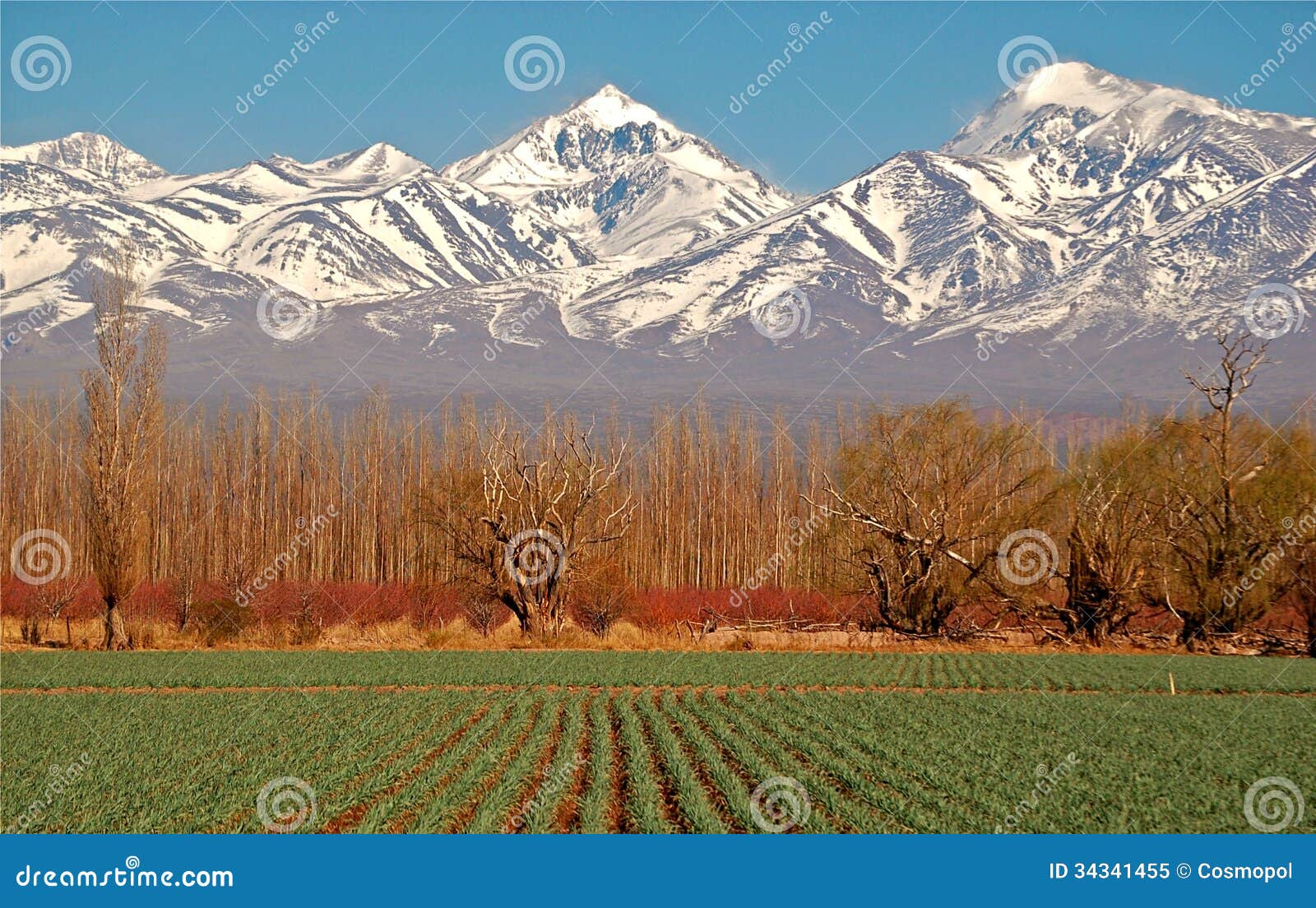 Andes Mountains, Layered Bounties Royalty-Free Stock Photo ...