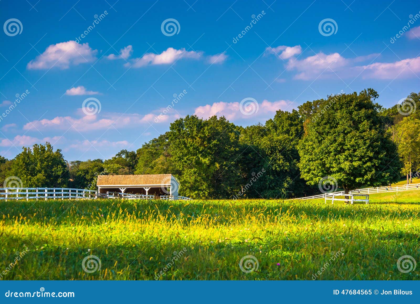 Farm Field and Stable in Howard County, Maryland Stock Image Image of