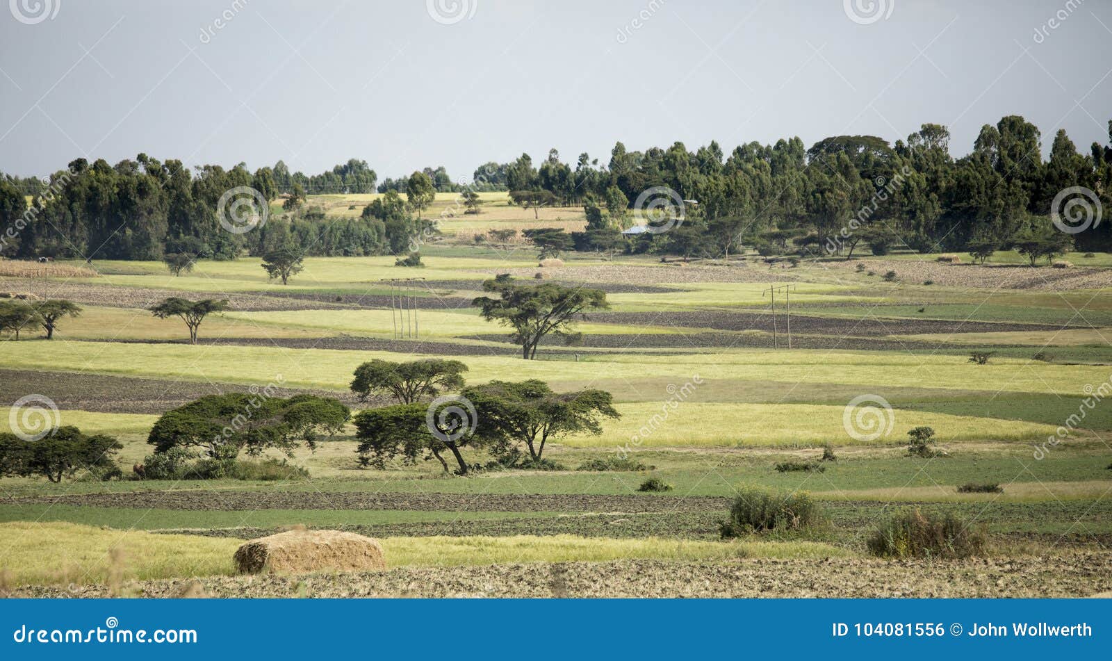 Farm Fields and Homes in Ethiopia Stock Photo Image of mountains