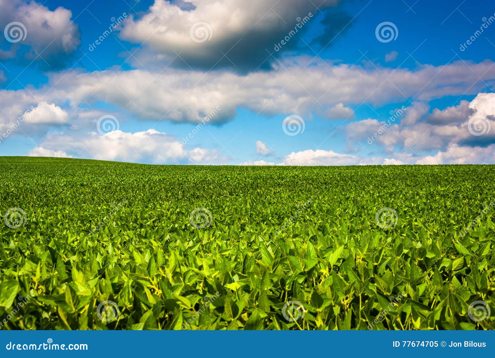 Farm Fields in Rural Baltimore County, Maryland. Stock Image Image of