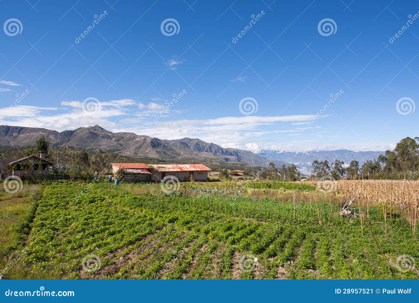 farm (finca) on the road to saraguro, ecuador