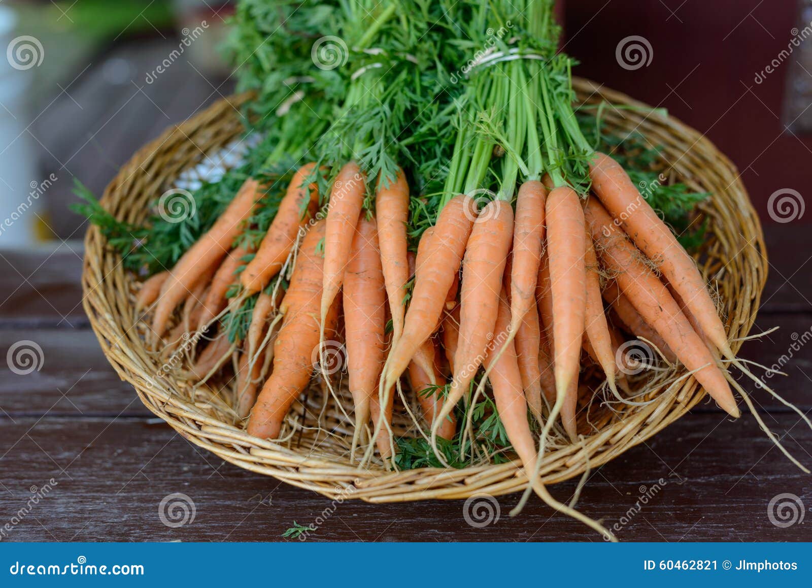 Farm Fresh and Organic Carrots Freshly Pulled Out of the Ground Stock