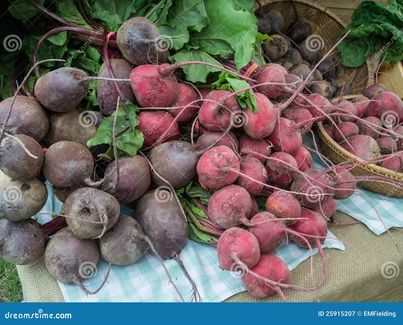 Farm Fresh Purple Beets stock image. Image of agricultural 25915207