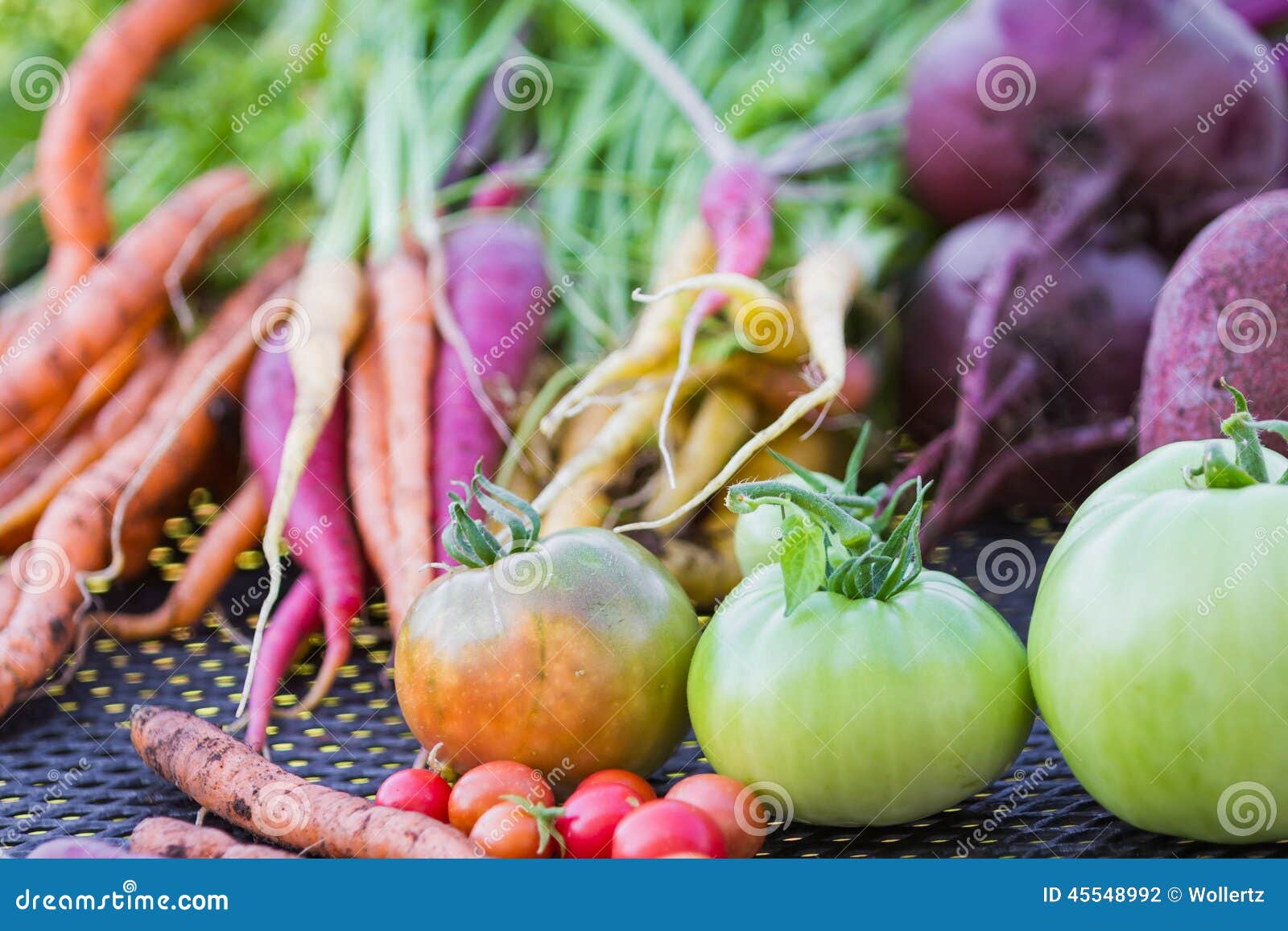 Farm fresh vegetables stock photo. Image of farm, harvest 45548992