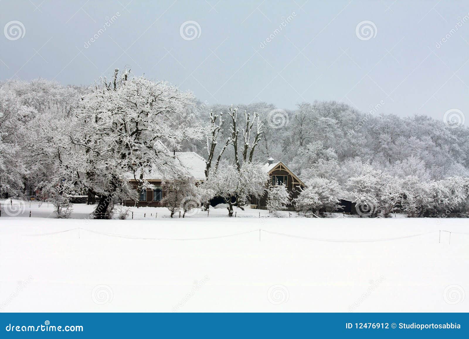 A Farm in a Frosted Winter Forest Stock Photo Image of cool, holland 12476912