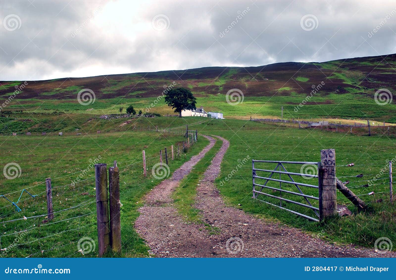 Farm Gate stock image. Image of moorlands, hills, road - 2804417