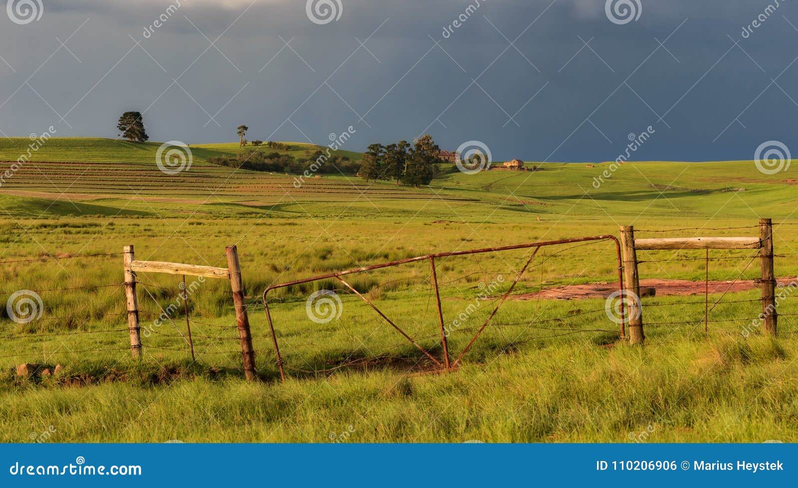 Farm gate stock photo. Image of farms, leading, gate - 110206906
