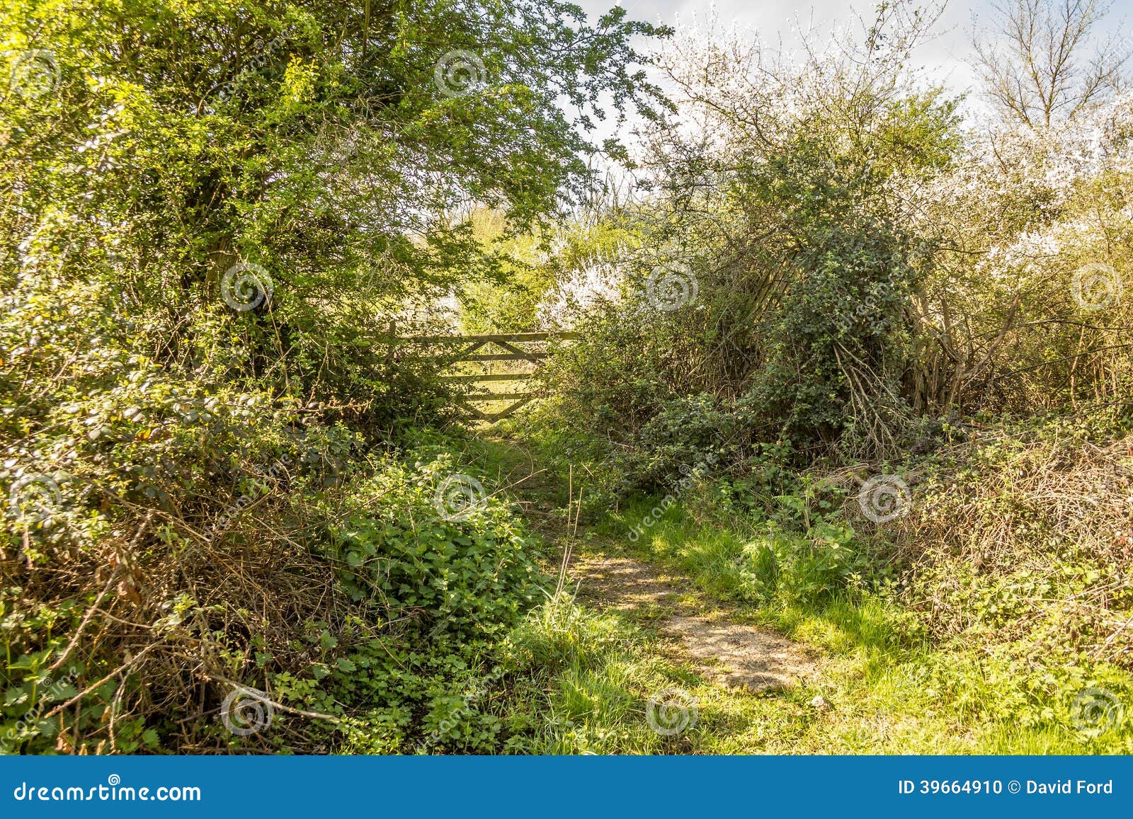 Farm Gate stock photo. Image of farm, field, gateway - 39664910