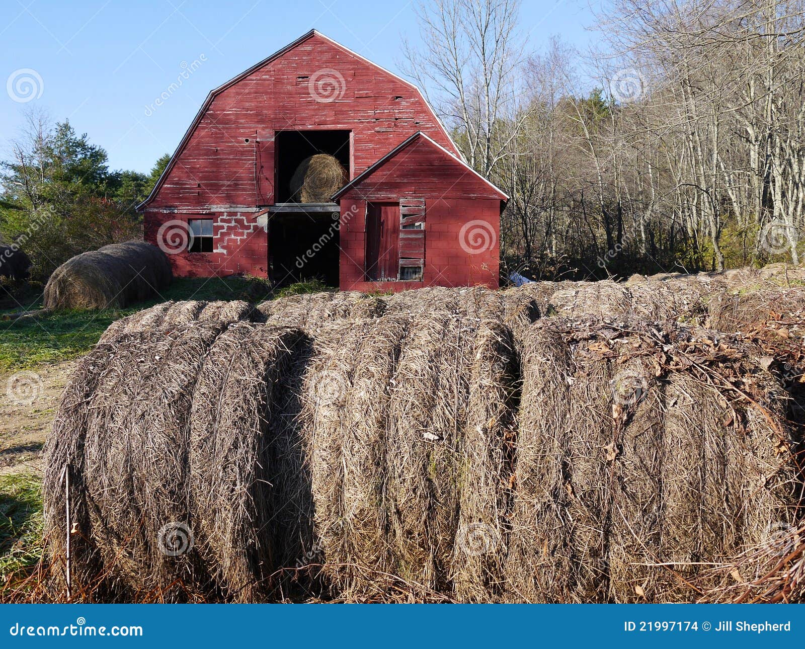 Farm: Hay Bales With Old Red Barn - H Stock Images - Image 