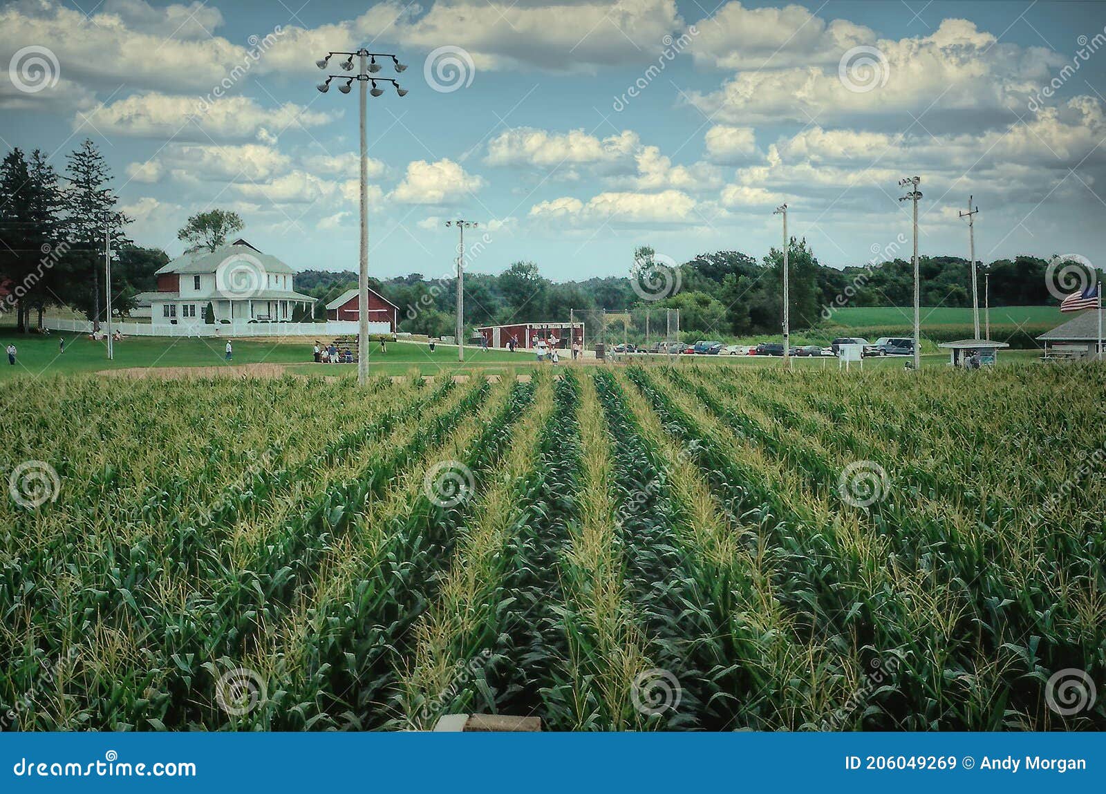 Field of Dreams editorial photography. Image of family - 156427272