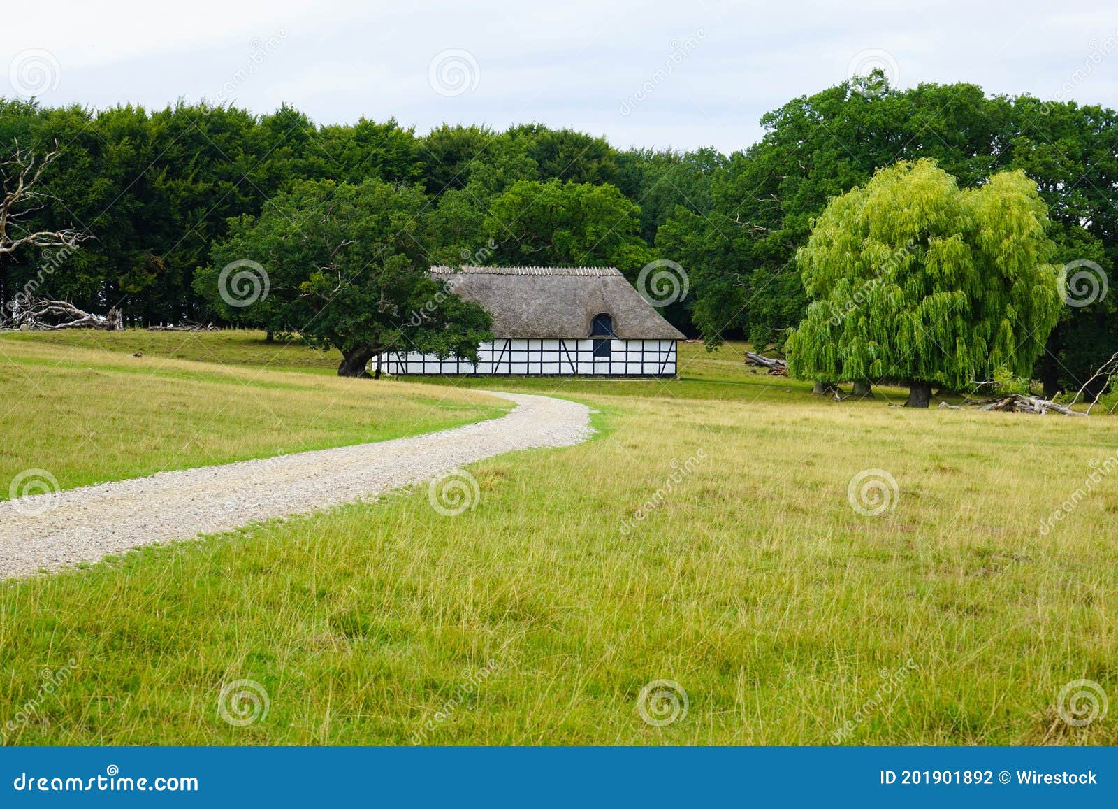 Farm House in a Green Farmland Stock Photo Image of road, grass