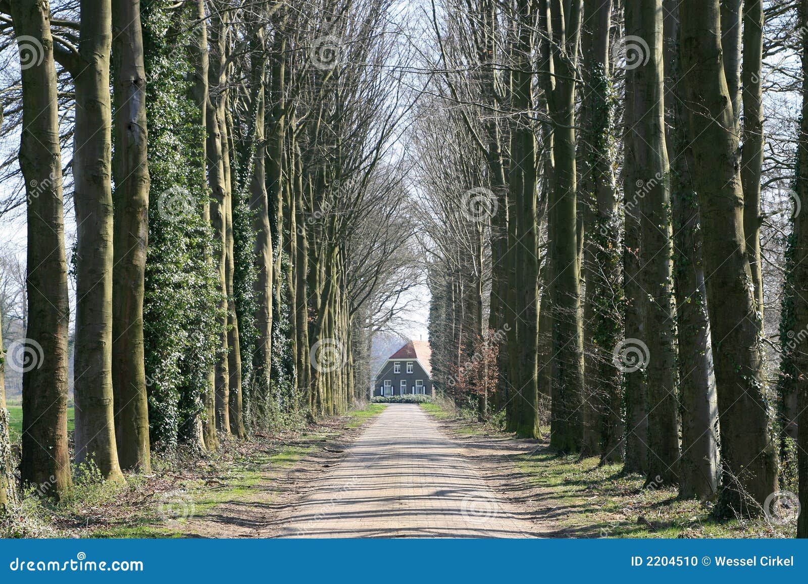 Farmhouse between trees stock photo. Image of clinker 2204510