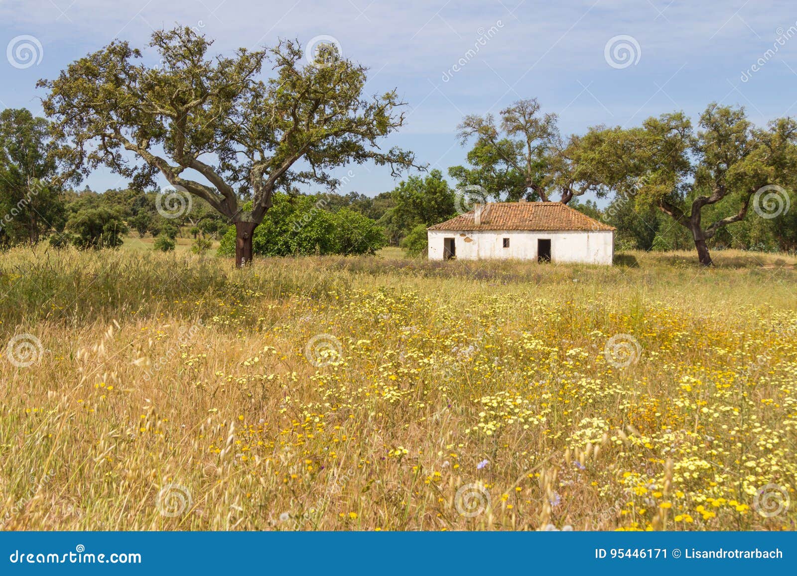 farm house and trees in vale seco, santiago do cacem