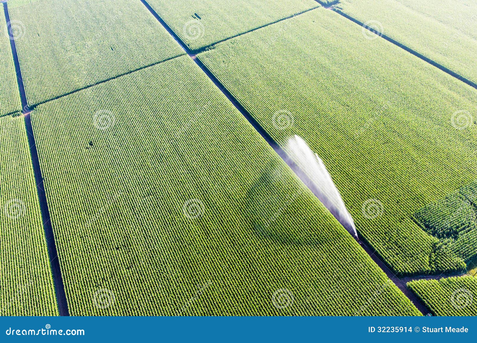 farm irrigation water aerial photo