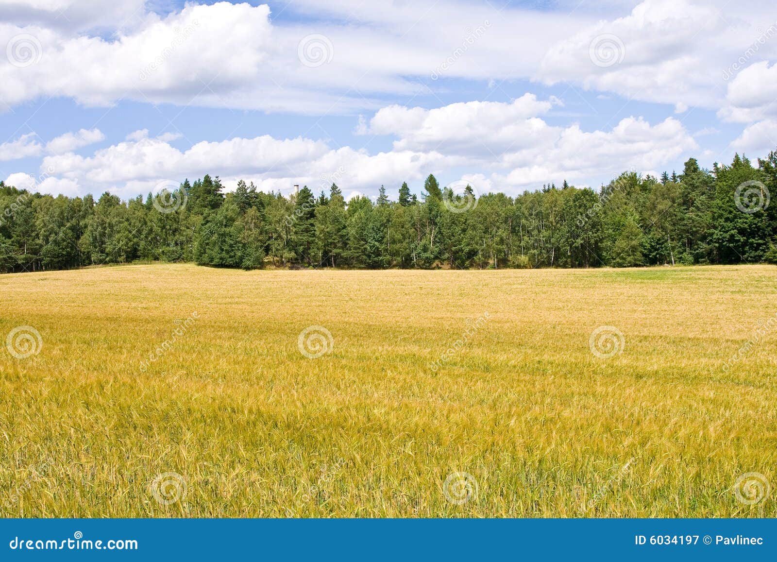 Farm land stock image. Image of land, meadow, outside 6034197