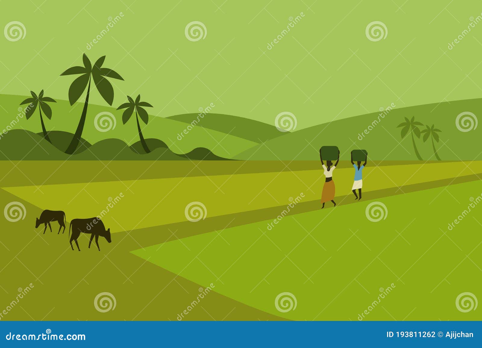  of landscape of indian rural paddy fields