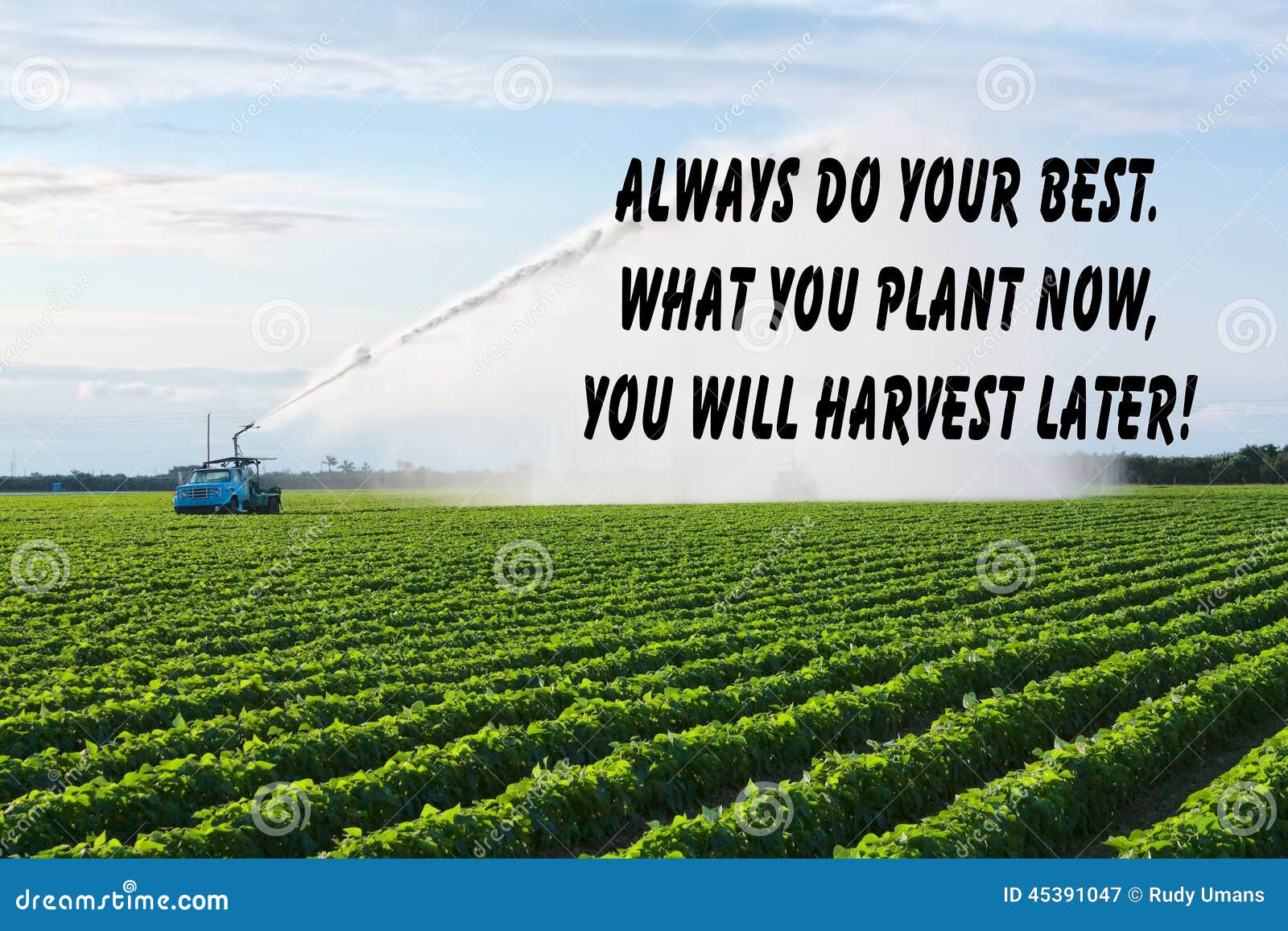 Farm Land Quote Stock Image Image Of Confidence Motivational