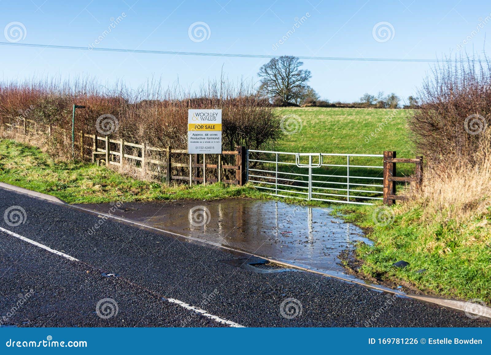 Farm Land For Sale Stock Photo Image Of Grassland Advertisement