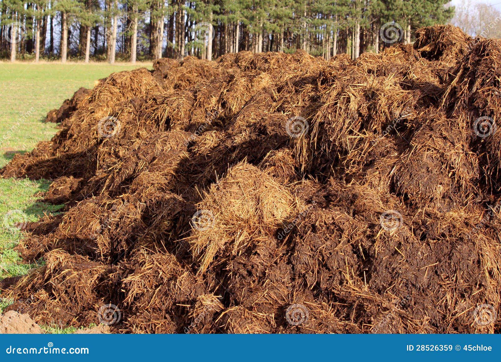 Farm Manure Royalty Free Stock Images Image 28526359