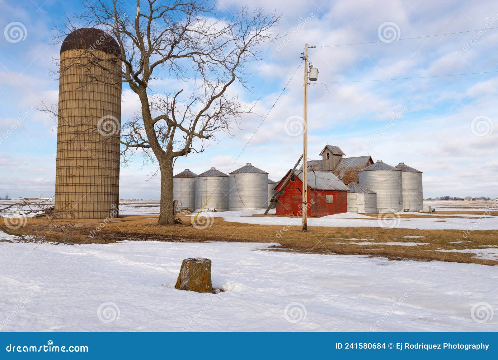 Farm in the Midwest stock photo. Image of tree, rural 241580684