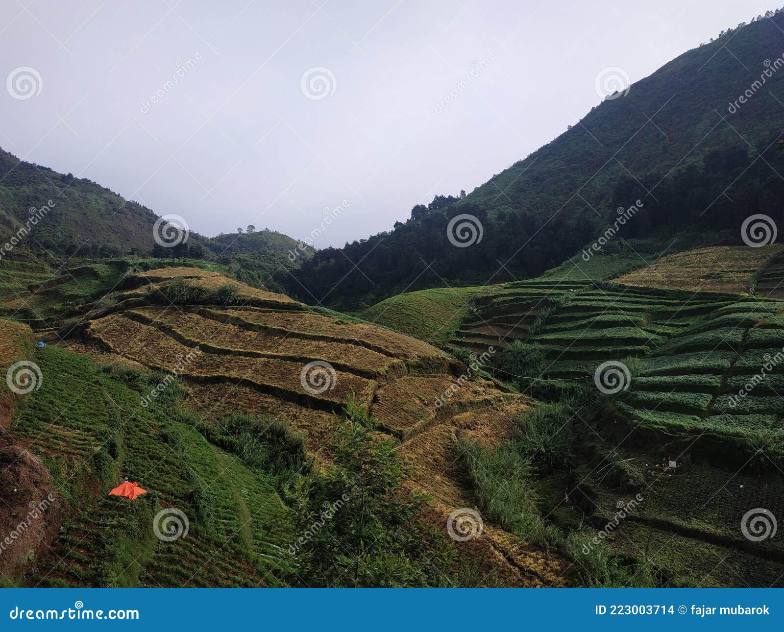 Farm on mountain stock photo. Image of fell, terrain 223003714