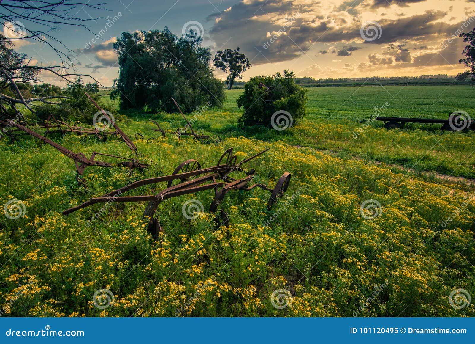 an old farm implement rusts in the field at a farm in south africa