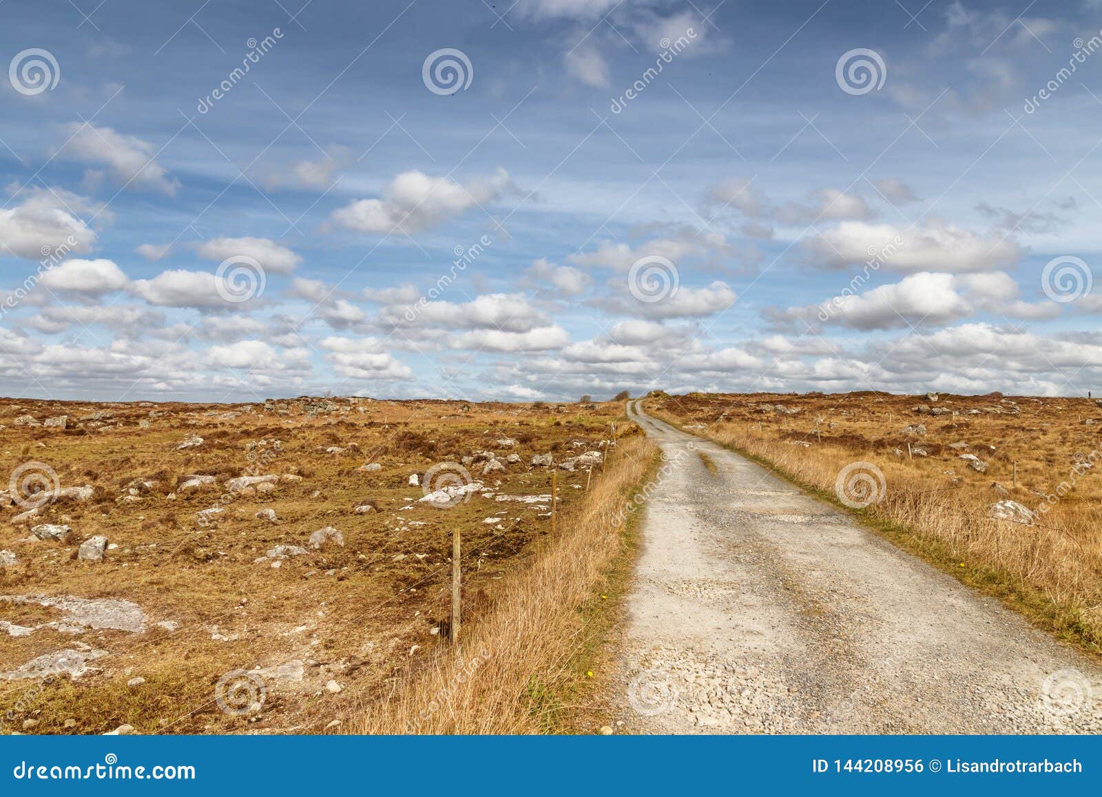 farm road in a bog with typical vegetation and rocks