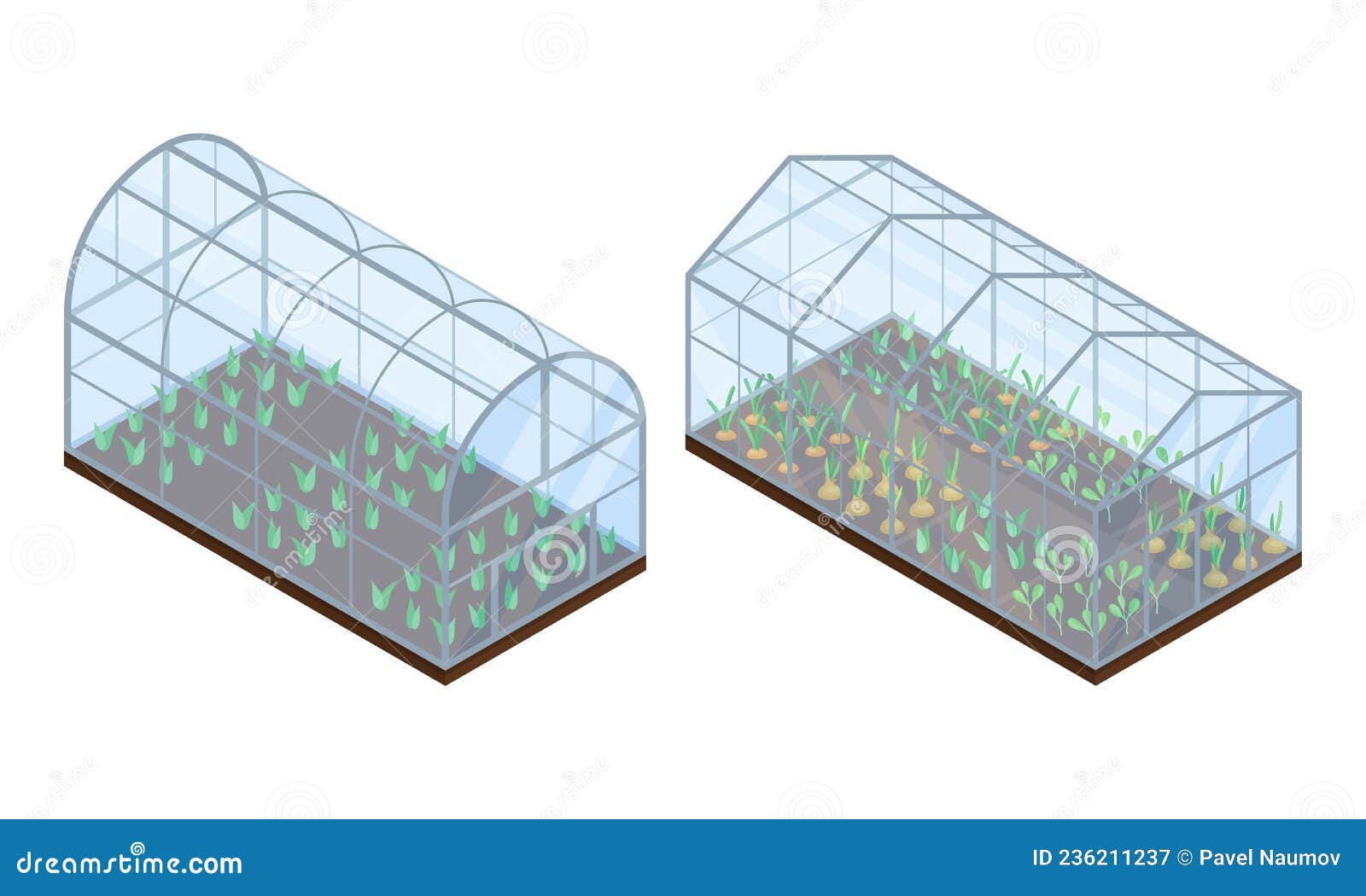 Farm Rural Buildings Set. Glass Greenhouses with Seedlings Isometric ...