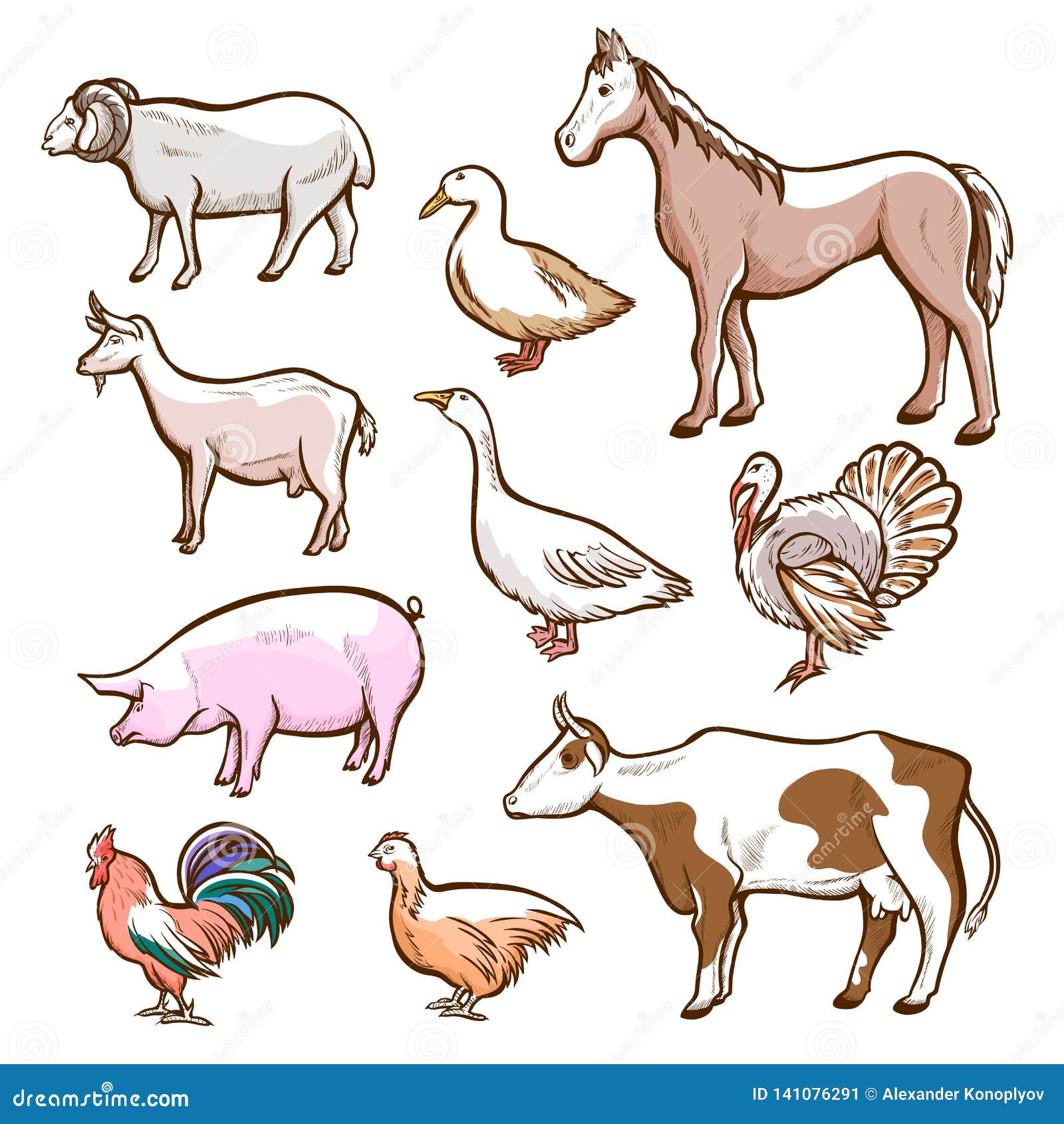 Farm Rural and Domestic Meat Animals Set Stock Vector - Illustration of  bird, chicken: 141076291