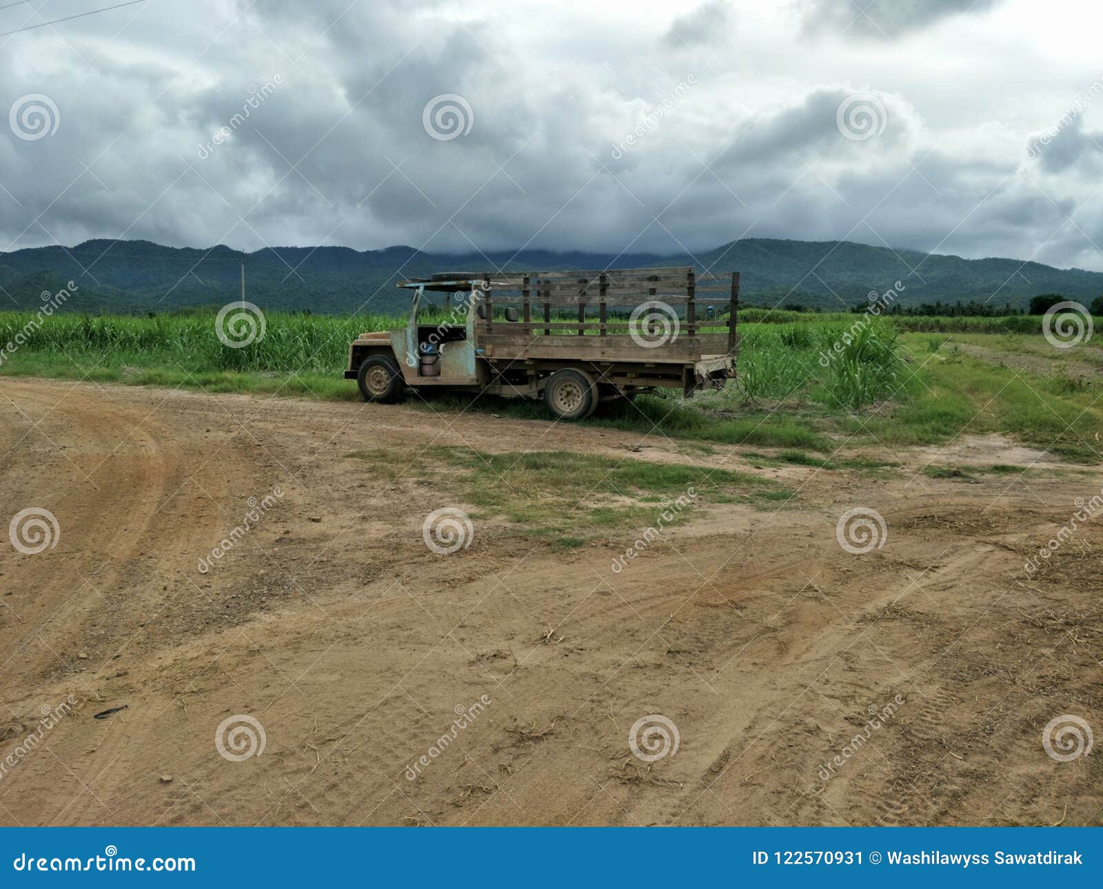 Farm race stock image. Image of nature, thailand, road 122570931