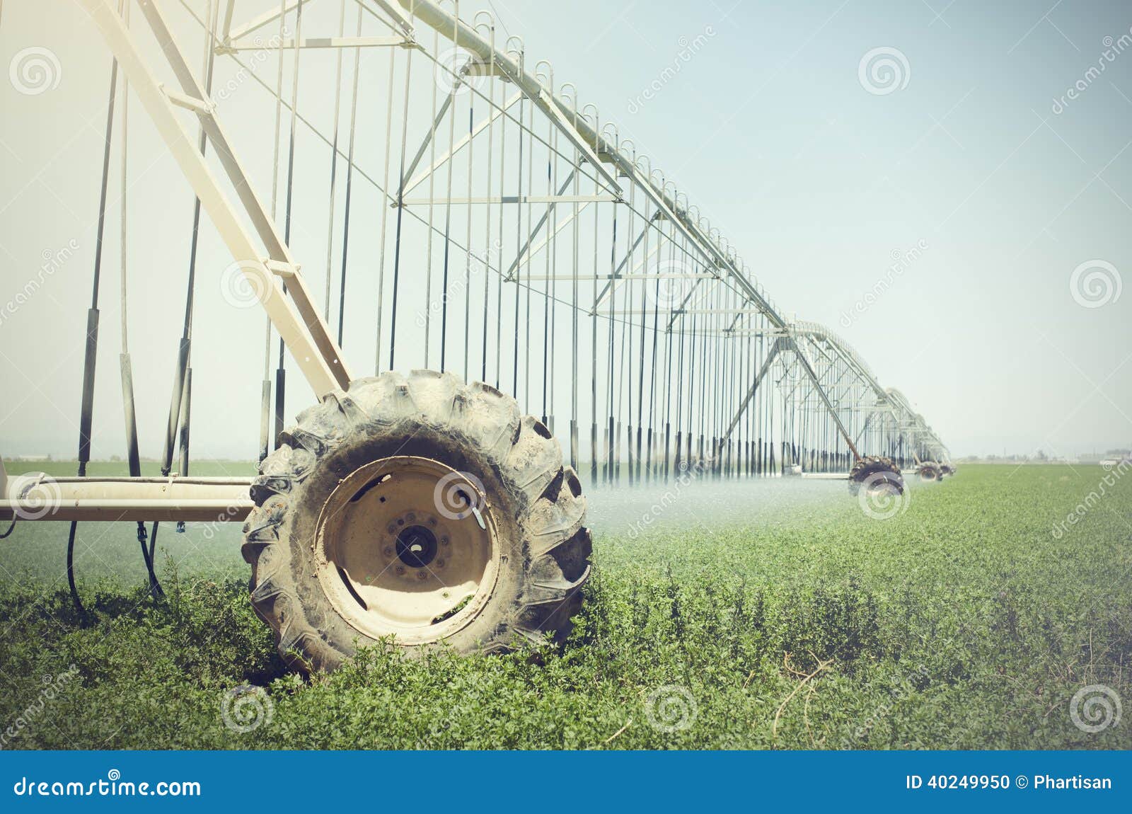 farm's crop being watered by sprinkler irrigation system