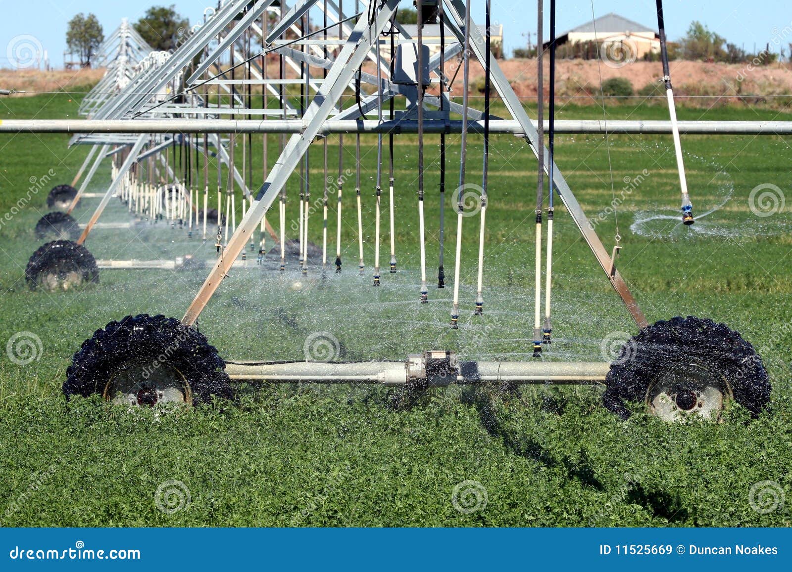 Farm Sprinkler System Royalty Free Stock Images Image 11525669