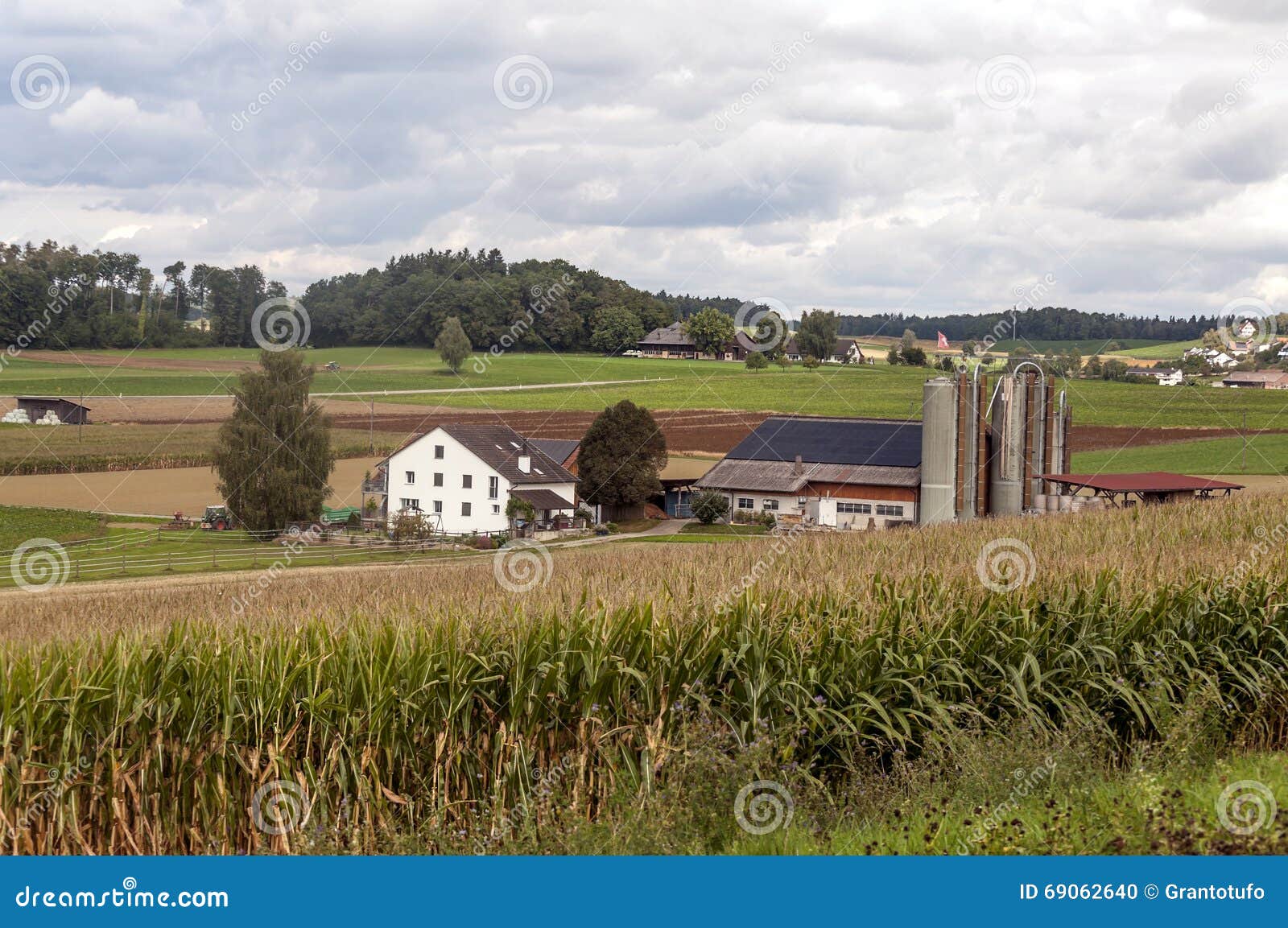 Farm in Switzerland stock photo. Image of barn, crops 69062640