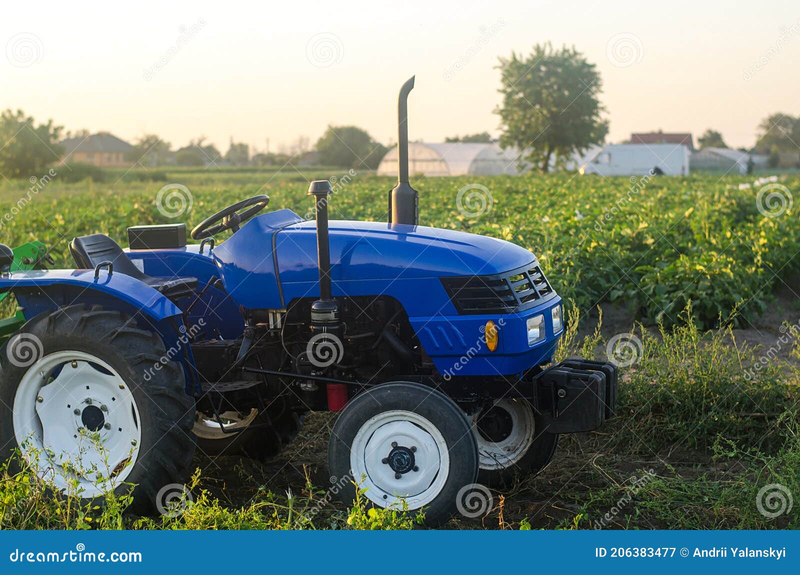 A Farm Tractor without a Driver Stands on a Farm Field at Sunset