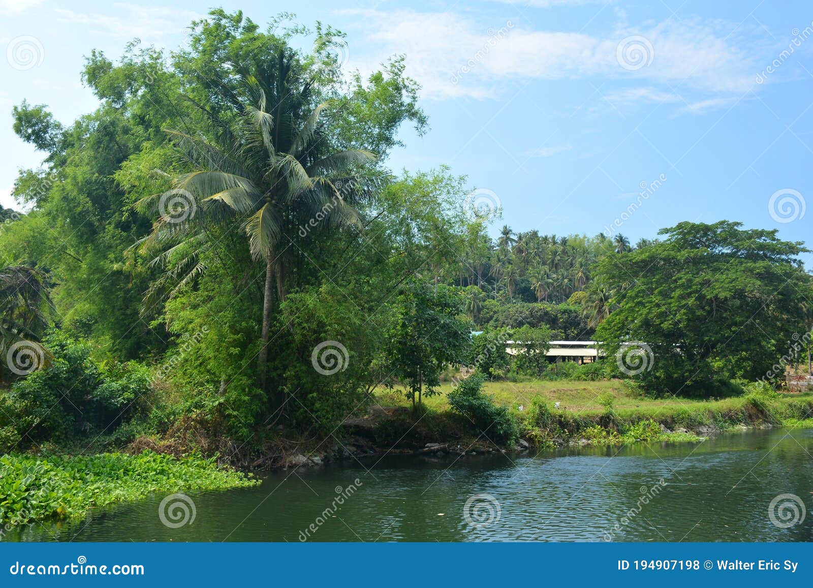 Farm with Trees Green Leaves and River Water during Daytime Stock Photo ...