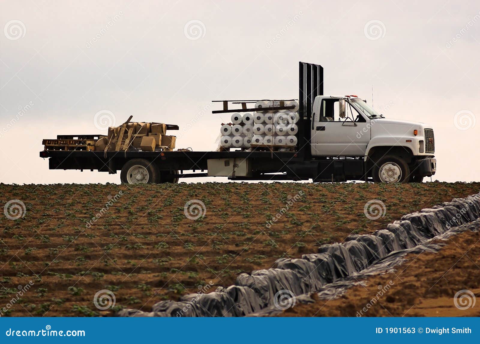 Farm Truck stock image. Image of summer, farm, brown, earth 1901563