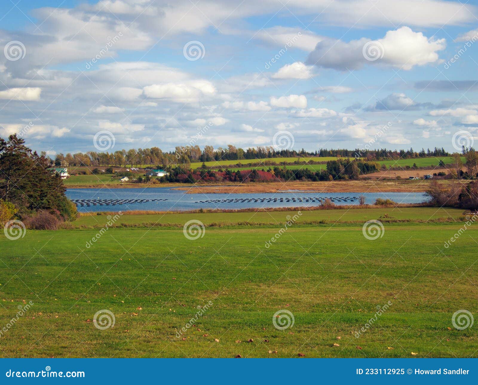 mussel cultivation, rustico