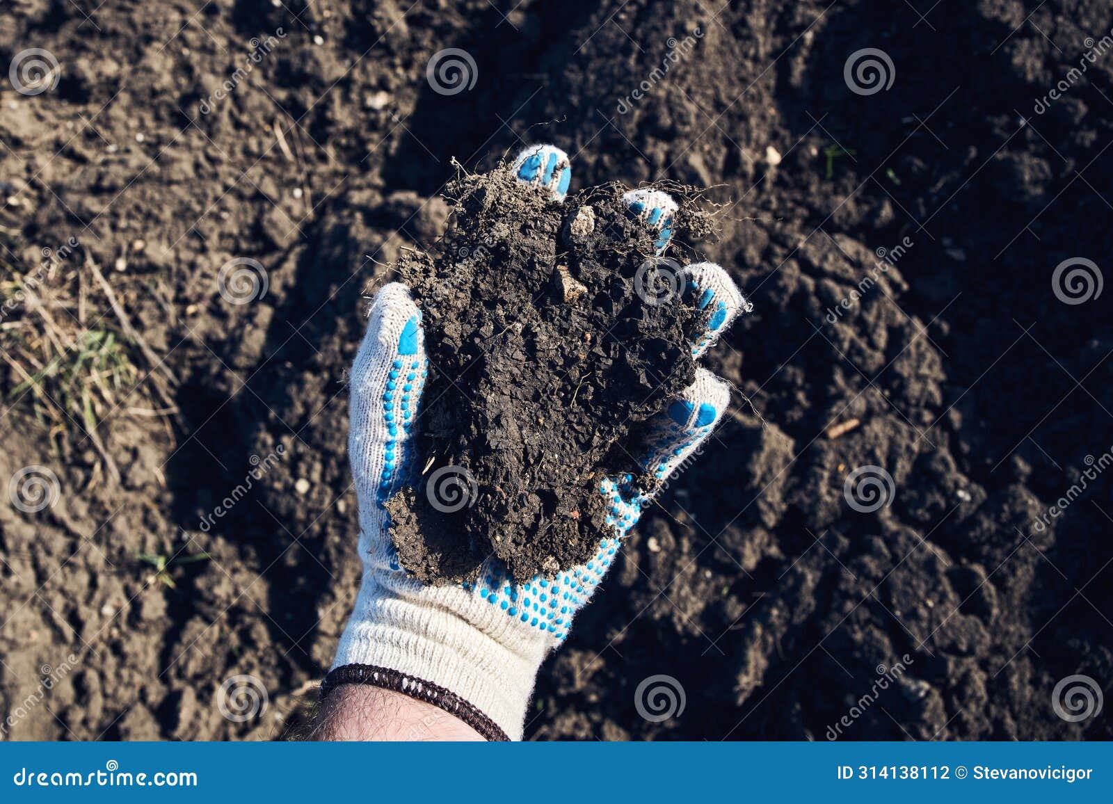 farmer agronomist holding a clod of earth, closeup of male hand with soil sample from agricultural field