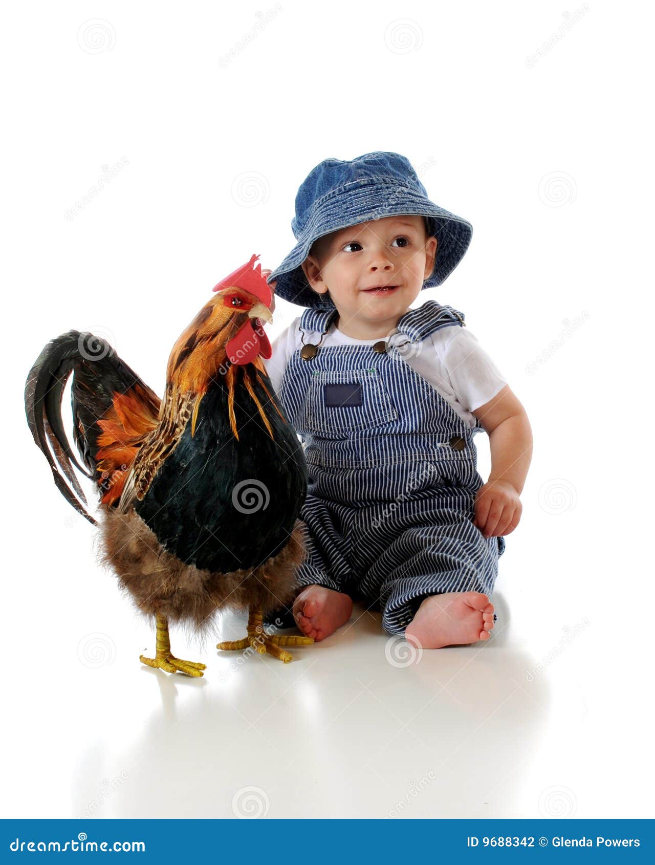 Farmer Baby stock photo. Image of young, bird, isolated 9688342