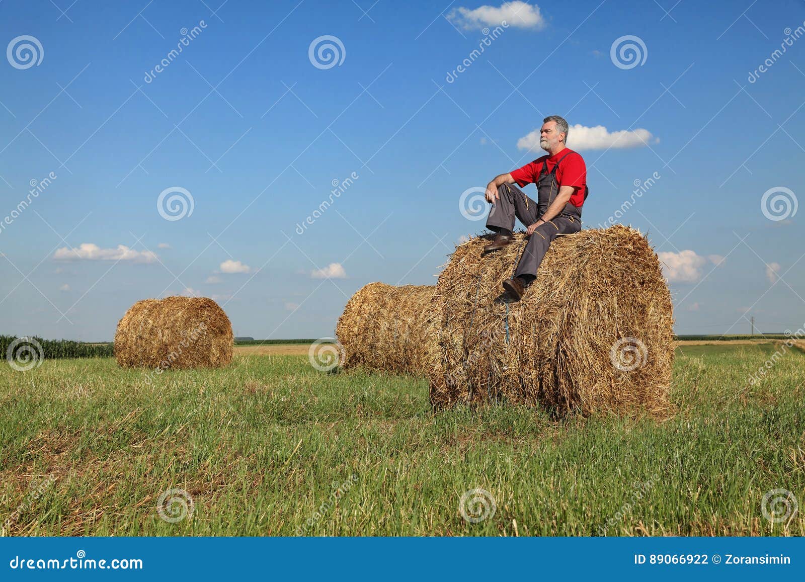 Farmer and Bale of Hay in Field Stock Photo Image of landscape