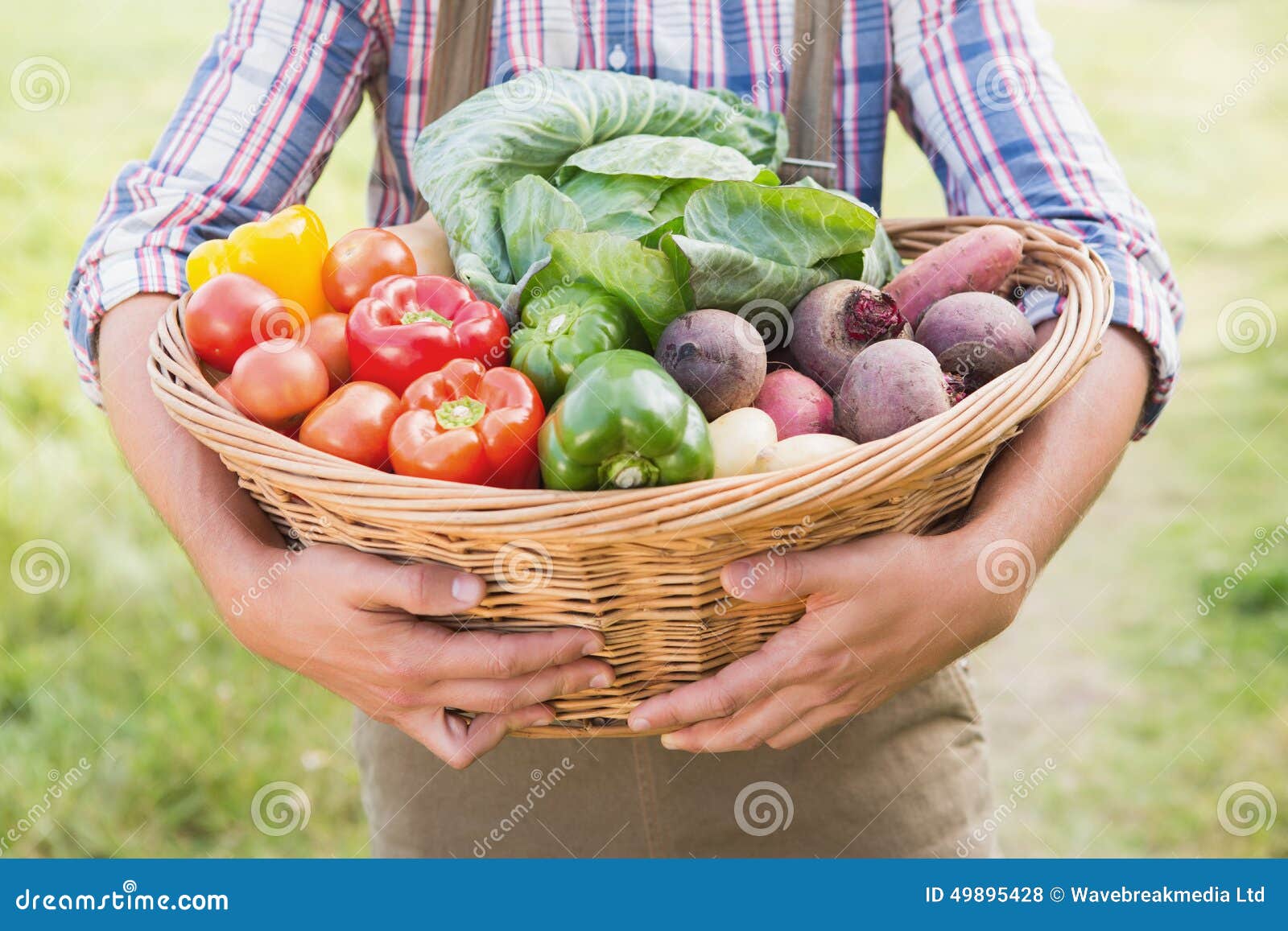 Farmer Carrying Basket of Veg Stock Photo Image of nature, country