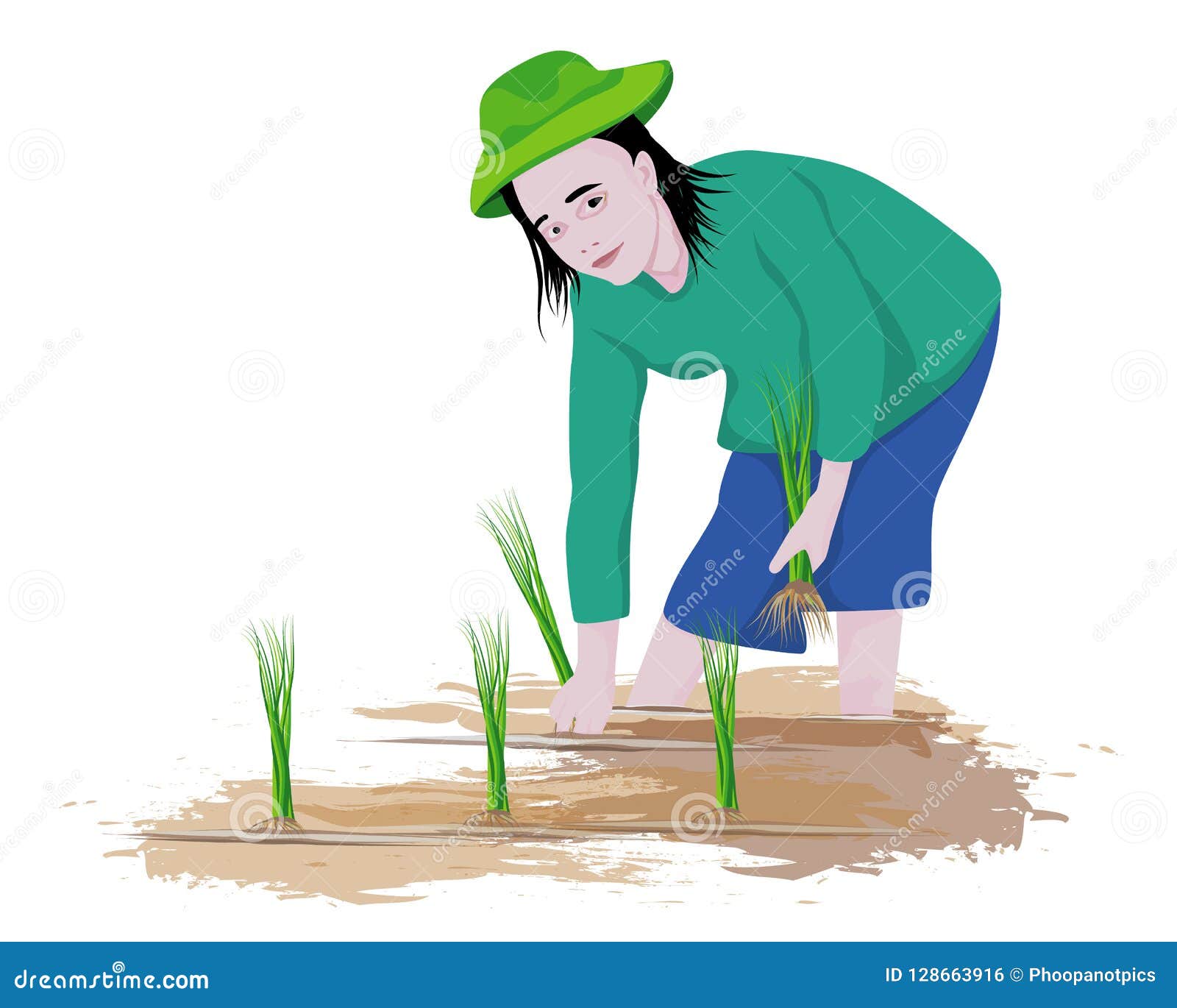 Farmer Cartoon Shape Transplant Rice Seeding Stock Vector - Illustration of  farmer, illuatration: 128663916