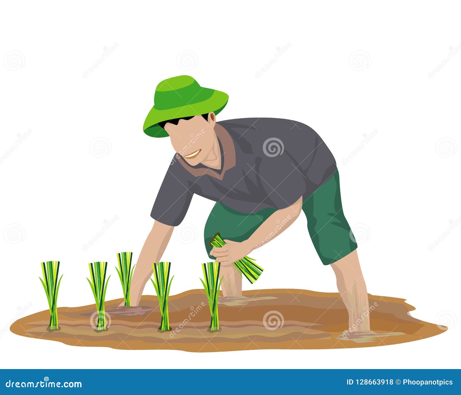 Farmer Cartoon Shape Transplant Rice Seeding Stock Vector - Illustration of paddy, farmer: 128663918 Farmer Cartoon Shape Transplant Rice Seeding Stock Vector - Illustration of paddy, farmer: 128663918
