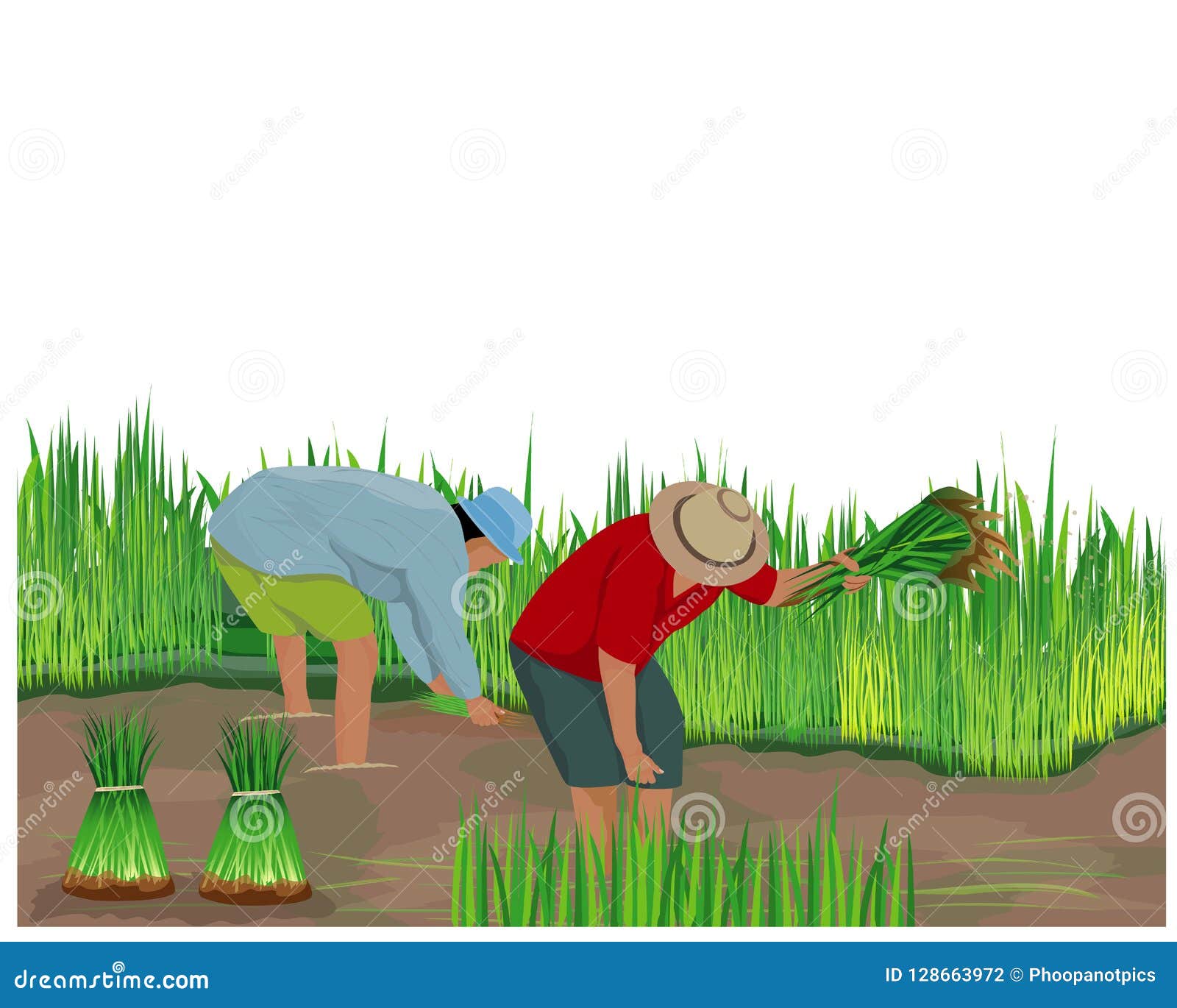 Farmer Cartoon Shape Work in Paddy Field Stock Vector - Illustration of  field, farmer: 128663972