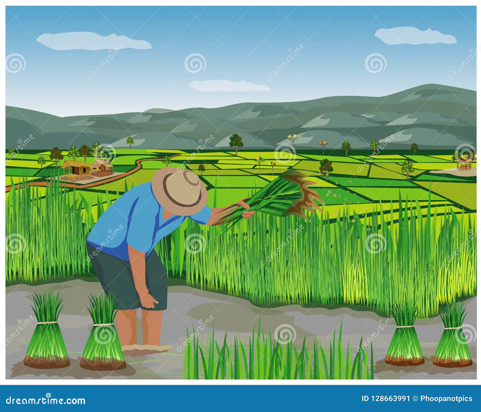 Farmer Cartoon Shape Work in Paddy Field Stock Vector - Illustration of  agriculturist, mountain: 128663991