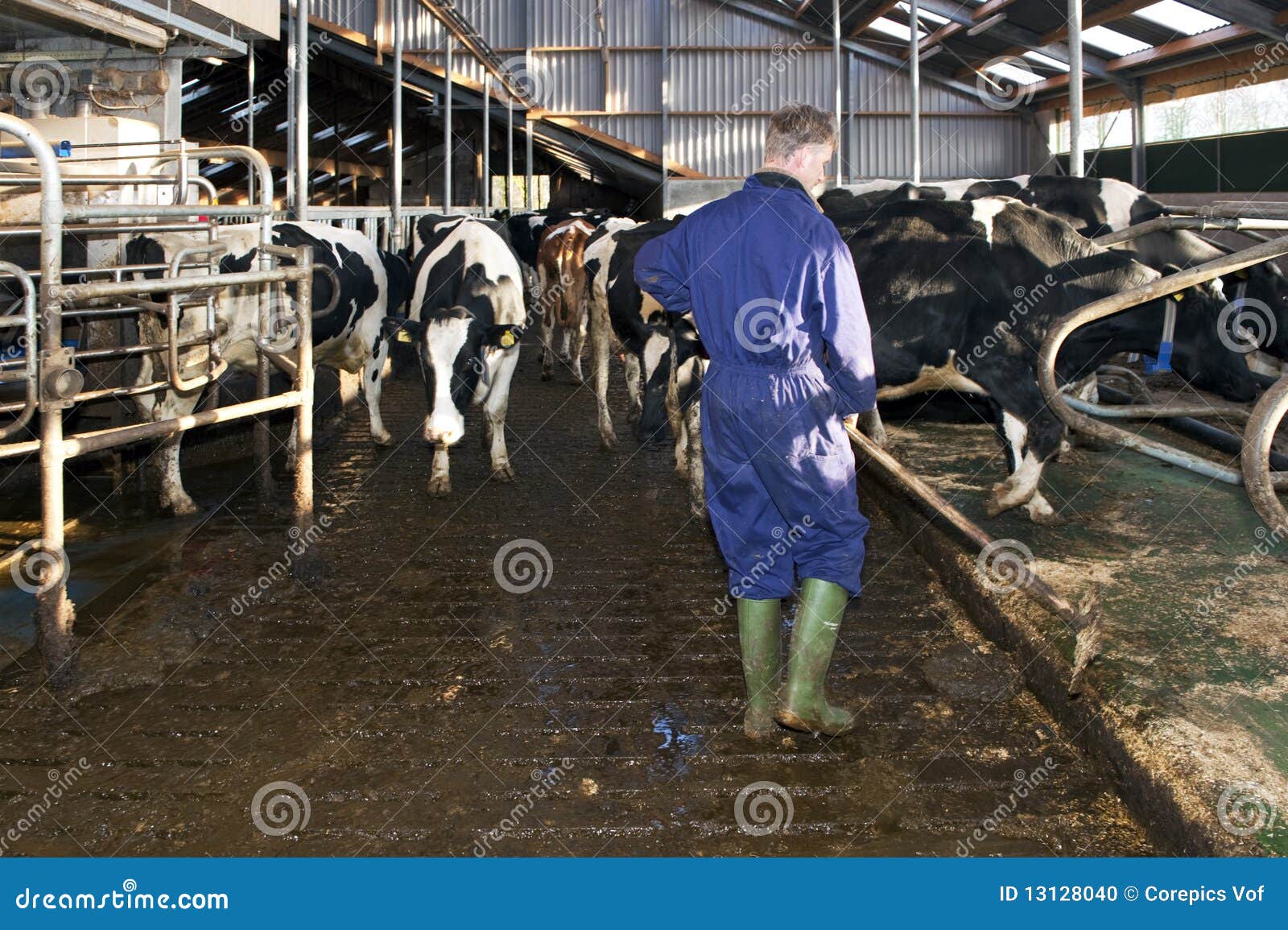 Farmer cleaning a stable stock photo. Image of technology 13128040