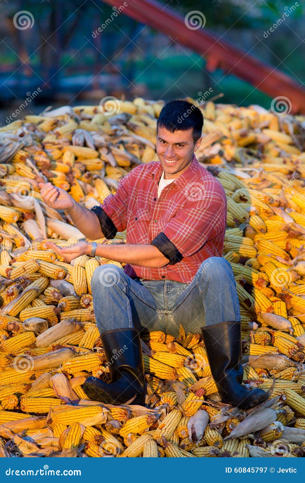 Farmer on corn pile stock image. Image of sitting, grain 60845797