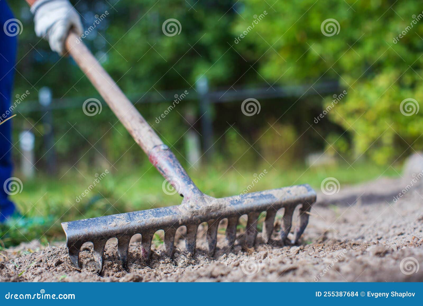 Farmer Cultivating Land in the Garden with Hand Tools. Soil Loosening ...