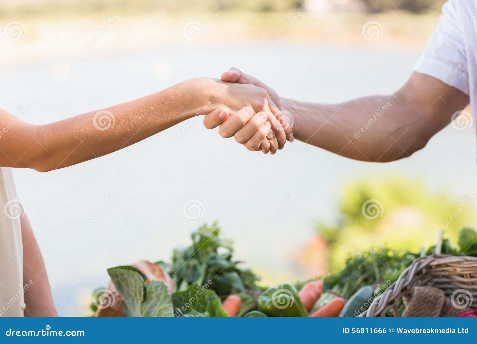Farmer and Customer Shaking Hands Stock Photo Image of living, hand