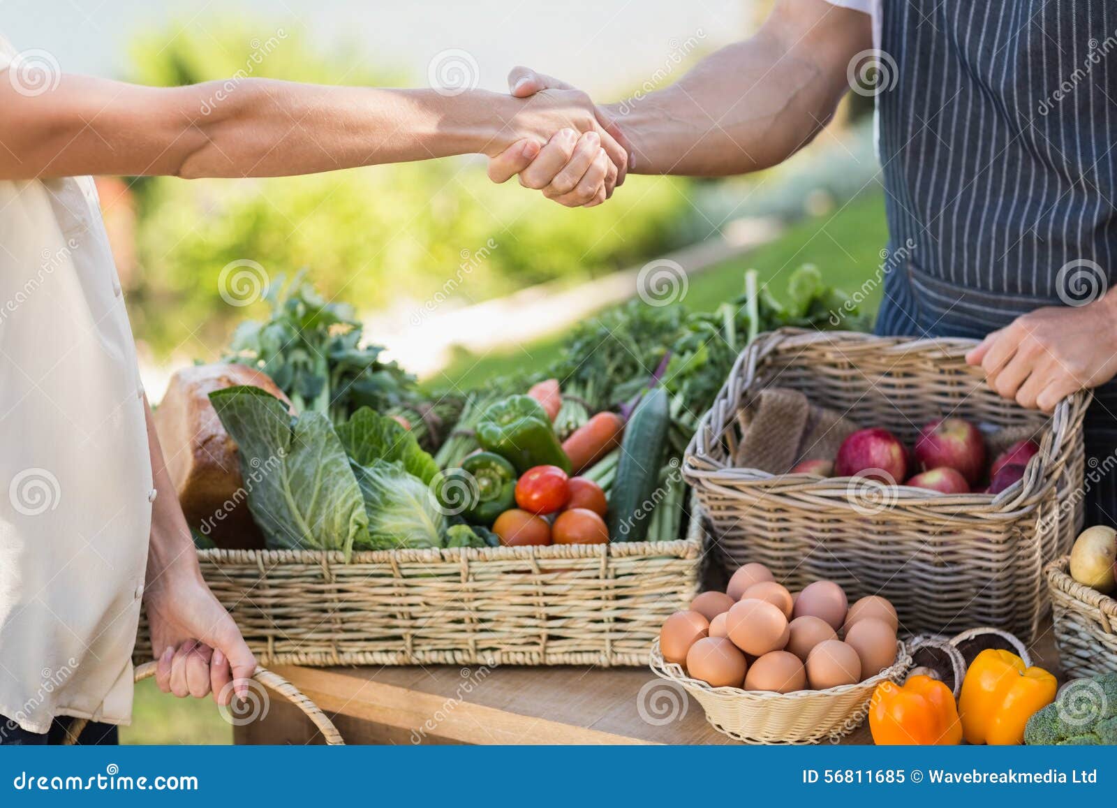 Farmer and Customer Shaking Hands Stock Image Image of introduction